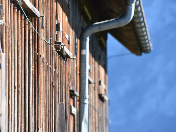 Pourquoi opter pour des revêtements muraux écologiques ?