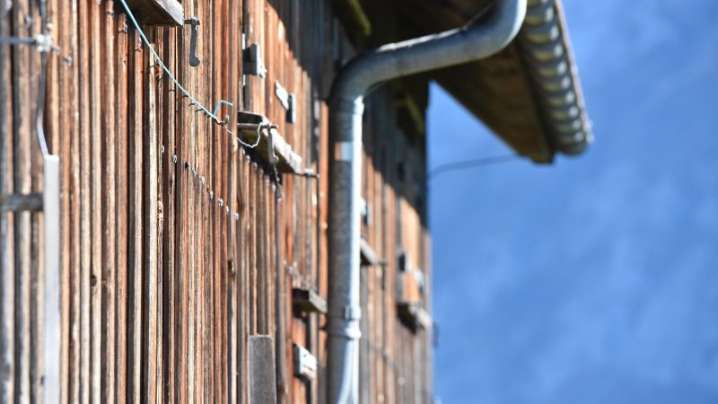 Pourquoi opter pour des revêtements muraux écologiques ?